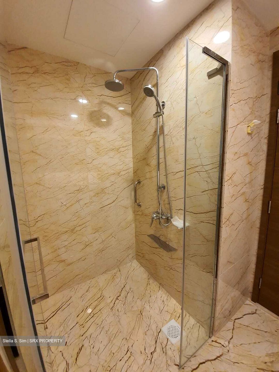 Queens Peak (D3), Condominium #380644321